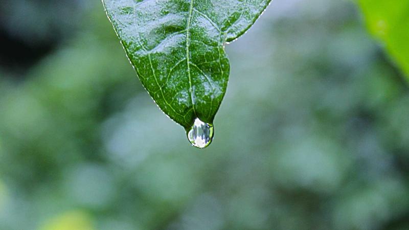 影视工厂网页版定制化解决方案策划
